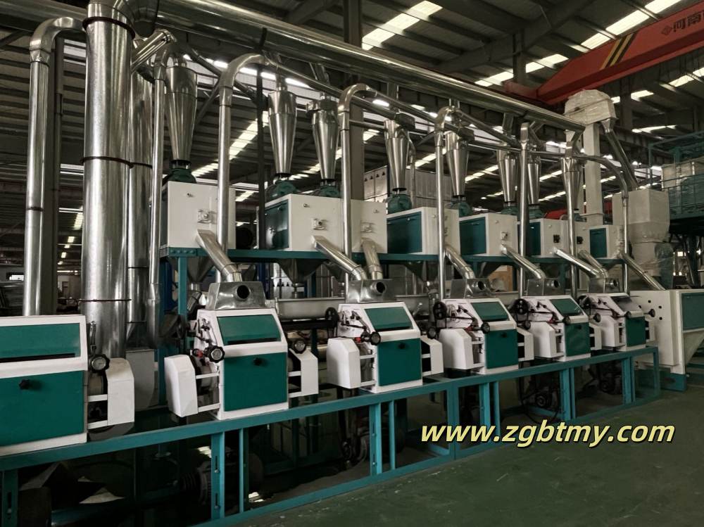 The assembly of 20T wheat milling production line is completed.